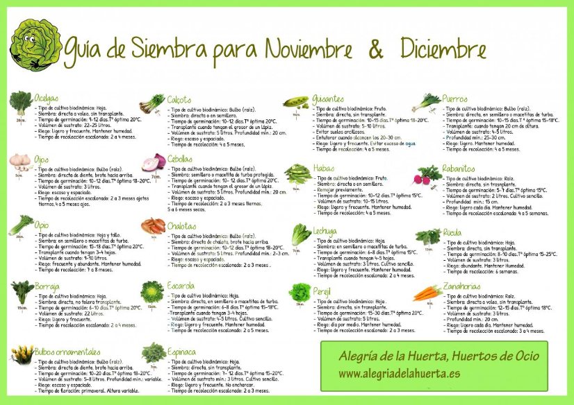 Labores del Huerto Noviembre & Diciembre