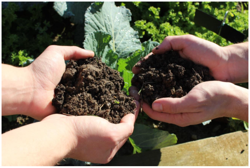 TALLER ABONADO Y ELABORACIÓN DE COMPOSTAS ENRIQUECIDAS